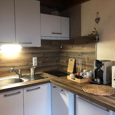 Duplex - Proche De Gerardmer เลอโธลี ภายนอก รูปภาพ