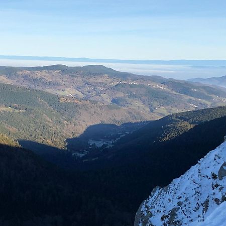 Duplex - Proche De Gerardmer เลอโธลี ภายนอก รูปภาพ