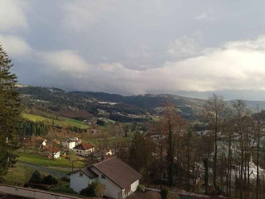 Duplex - Proche De Gerardmer เลอโธลี ภายนอก รูปภาพ