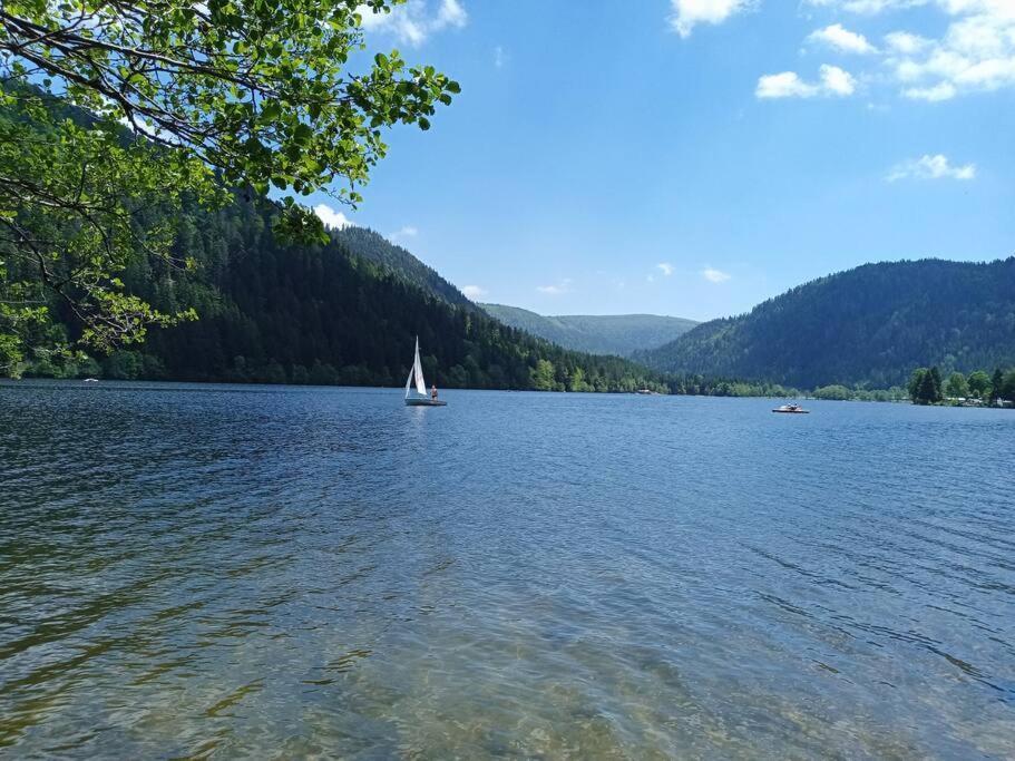 Duplex - Proche De Gerardmer เลอโธลี ภายนอก รูปภาพ