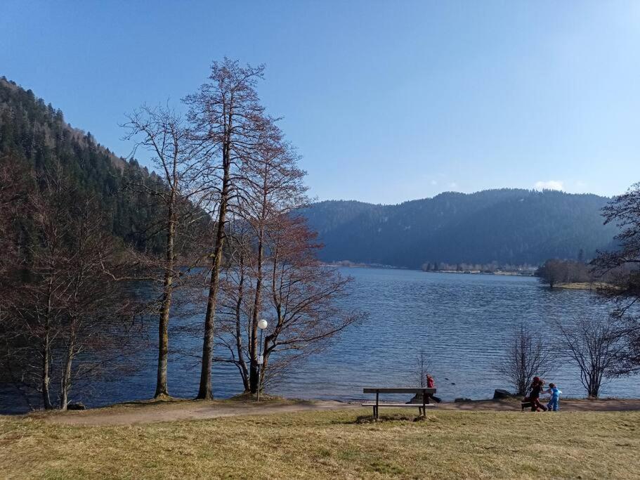 Duplex - Proche De Gerardmer เลอโธลี ภายนอก รูปภาพ