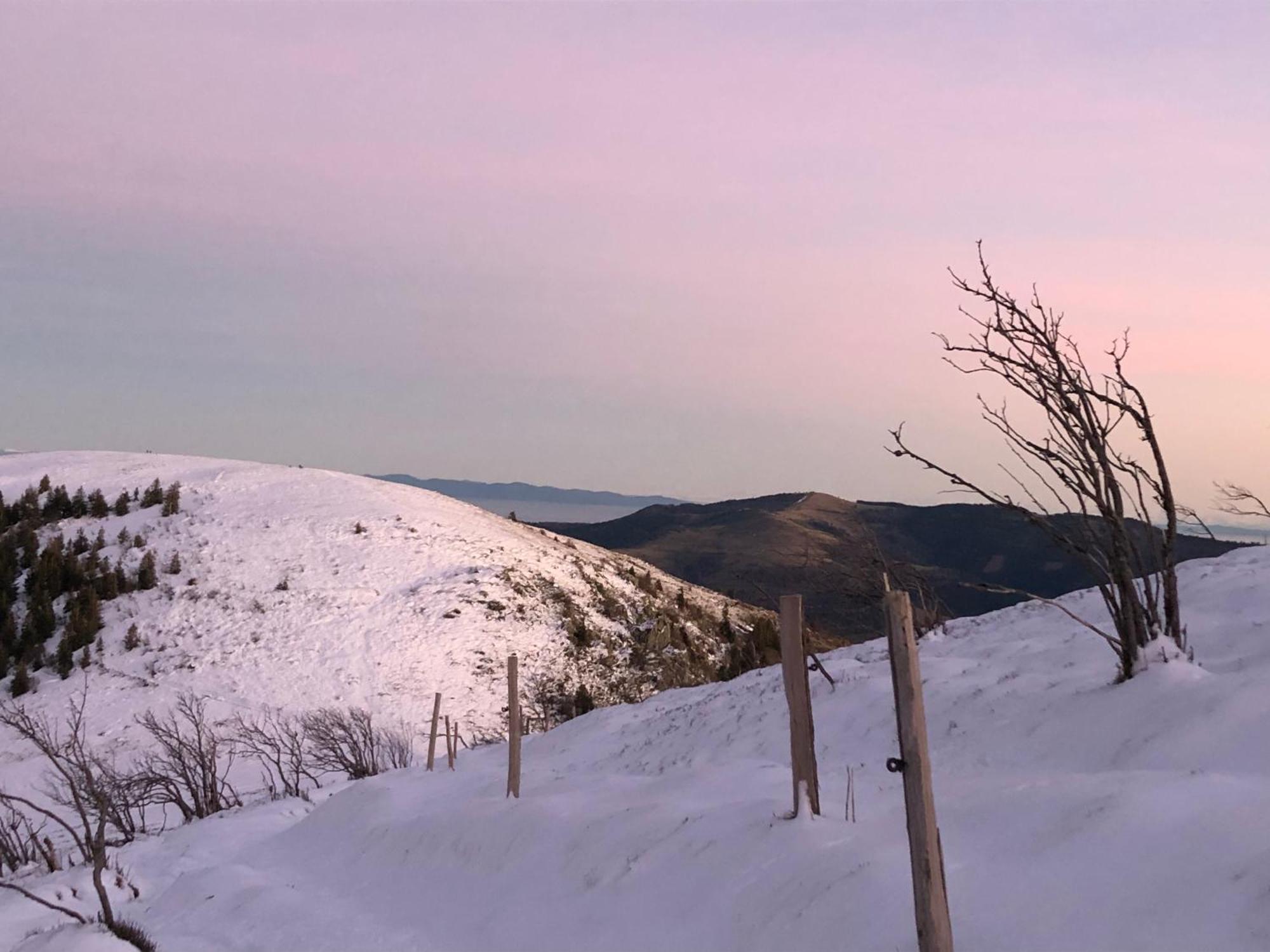 Duplex - Proche De Gerardmer เลอโธลี ภายนอก รูปภาพ